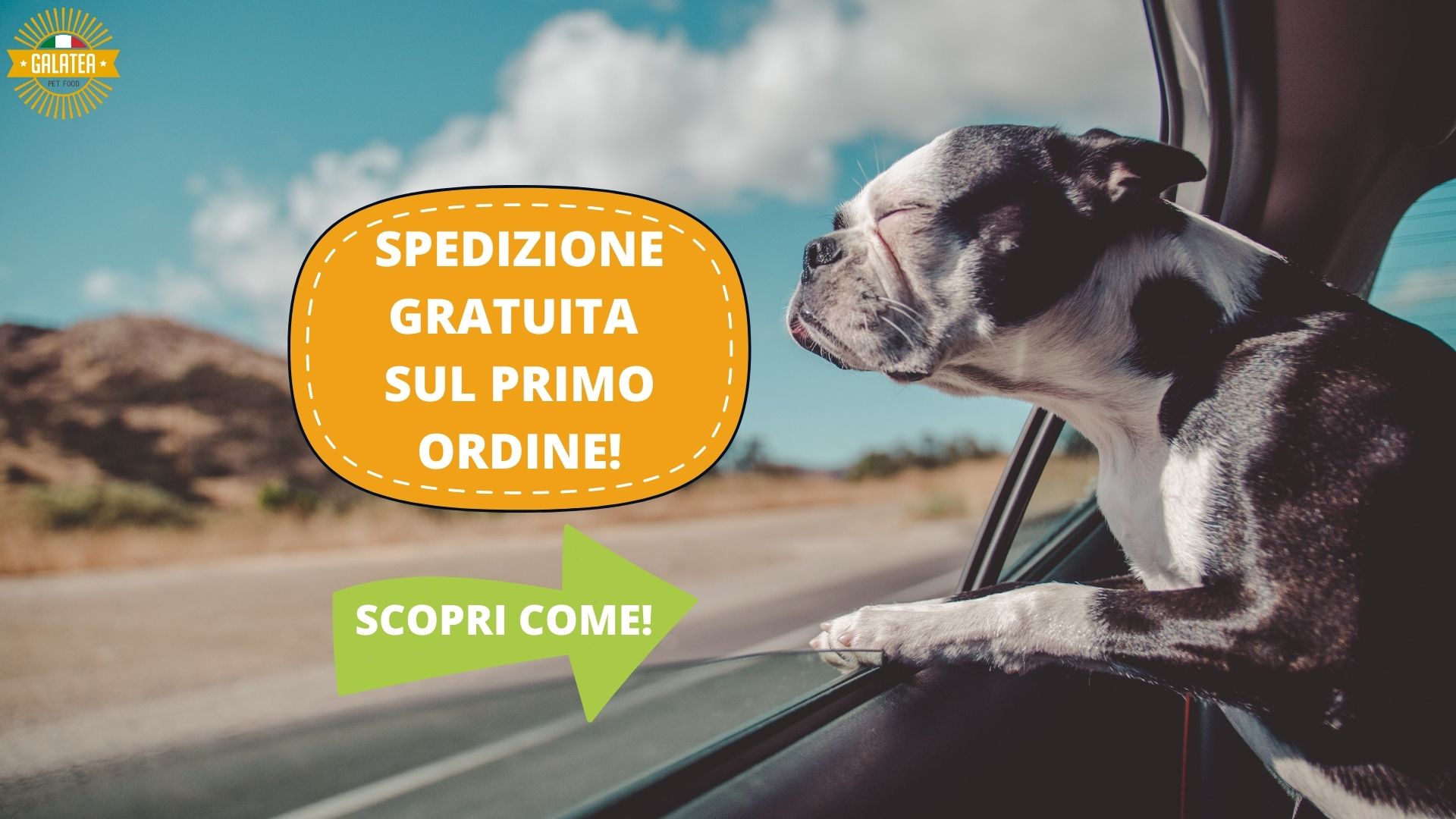 galatea pet food spedizione gratuita primo ordine